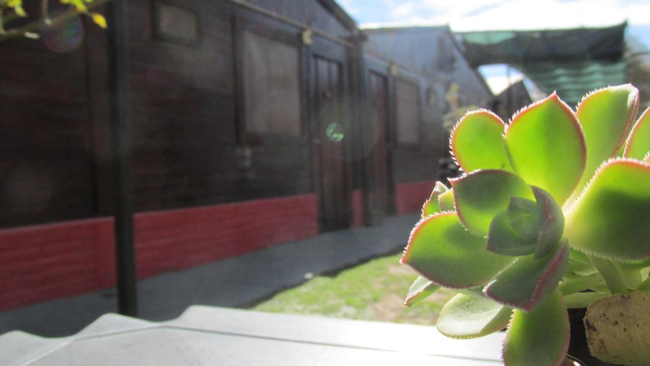 Hostal Del Suri Cafayate Eksteriør billede